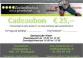 Zeelandtools-Cadeaubon-t.w.v.-€-25-